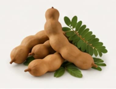 Tamarind pods and leaves