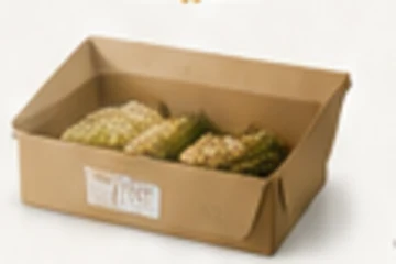 카톤 박스